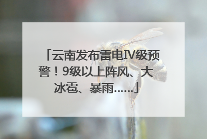 云南发布雷电Ⅳ级预警！9级以上阵风、大冰雹、暴雨……